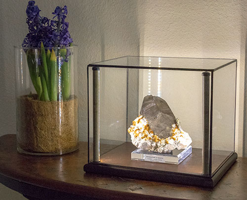 LED Lighted Display Case